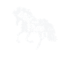 Cheval "sauvage et libre"