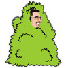 Collection LVG Bush