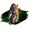 lynx