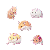 Espèces de hamsters