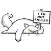 Angry Cat
