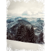 Black forest in winter
