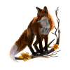 fox