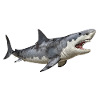 Requin blanc à la chasse