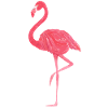 Flamingo Love