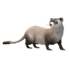 3D weasel