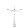 fly a plane