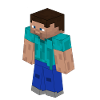 Steve Skin