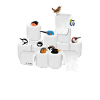 Oiseaux en papier toilette