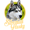 husky