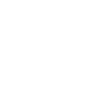 Roller coaster