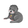 Baby otter