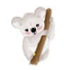 Baby koala