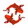 Koi Red