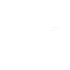 Agility dog team