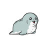 Cute Seal Sea Animal