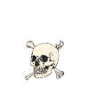 Bad to the Bone