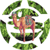 Camo Camel