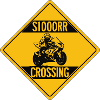 S1000RR crossing