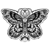 Magic Moth