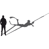 Shadow Spearfish