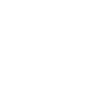 Puppy in training