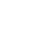 BROOKLYN 99