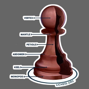 Lichess Pawn