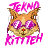 Tekno Underground Raver Techno cat