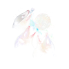 3 Opossum Moon