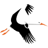 Stork in flight