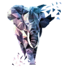 Polygon mit Elefant