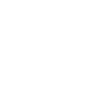 Ant