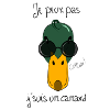 Canard