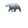 Bear Forest Nature Trees