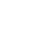 Big Brother Shirt
