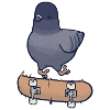 Skateboard skater pigeon