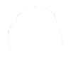 Lion Illustration