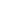 Polygonal Afica - Blanc