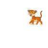 Baby Tiger