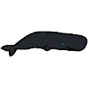 sperm whale