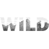 Wild