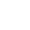 Dog Australian Cattle Dog