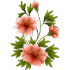 Bunte Blumen