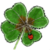 Lucky clover with lucky beetle