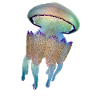 Méduse