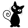 Black cat