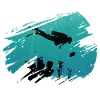Divers dive