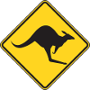 T-shirt Australie