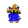 Chat magicien noir